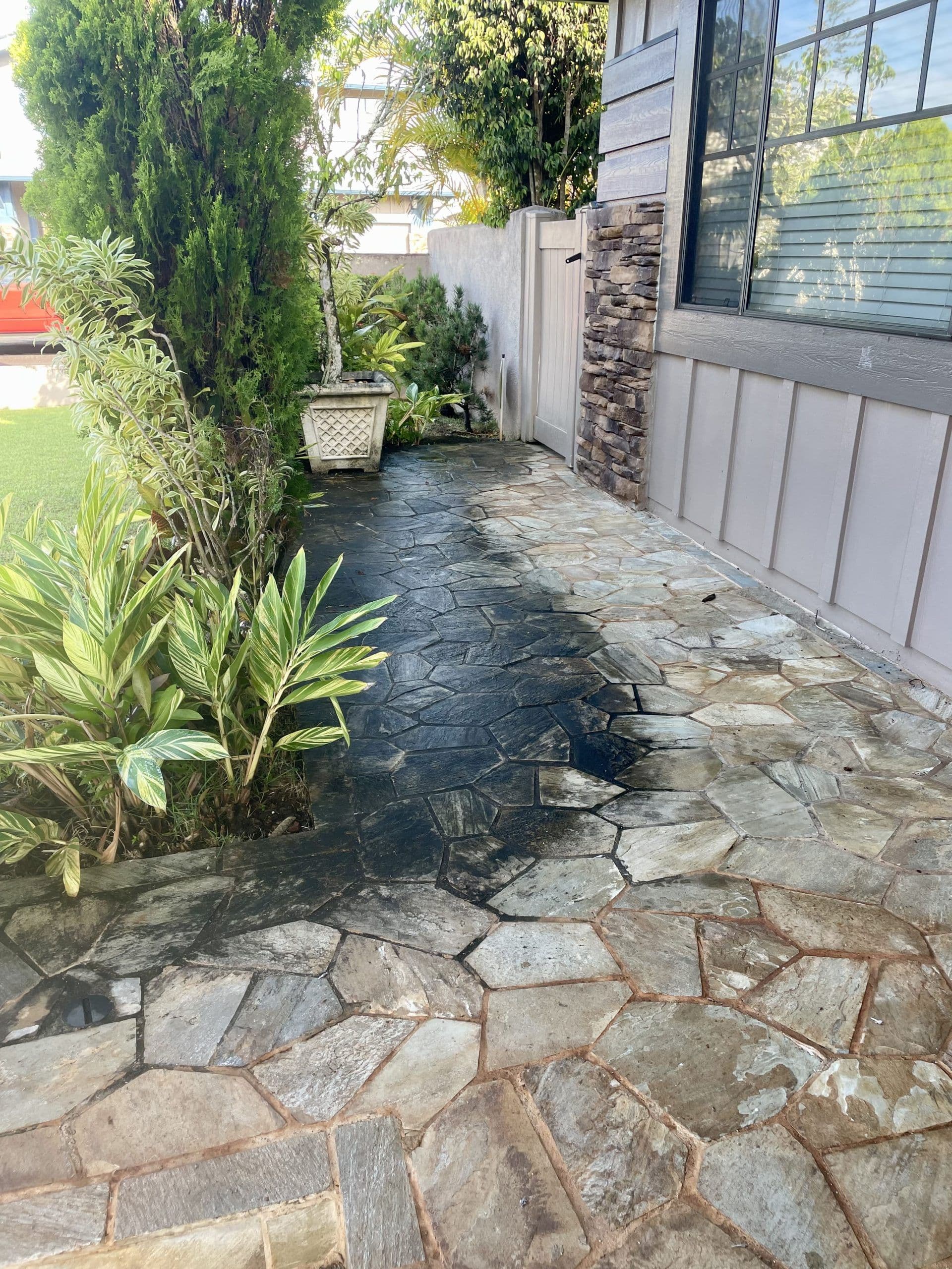 Stone pathway with lush greenery and modern home exterior, enhancing outdoor aesthetics.