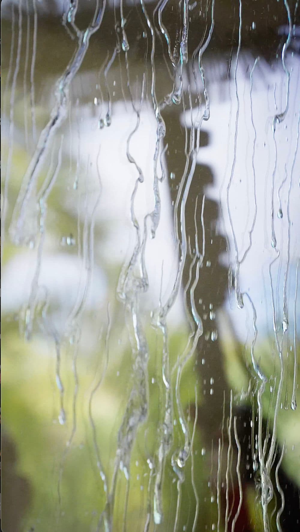 Contact form background